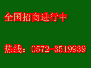 绿纳地板加盟政策是什么？绿纳地板加盟有扶持么？！