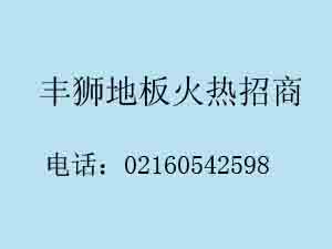 家里地面铺丰狮木地板好还是瓷砖好？两者区别是什么？！