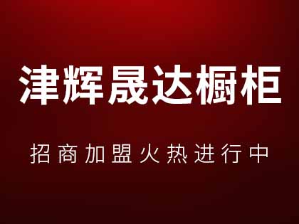 津辉晟达橱柜是一线品牌么？津辉晟达橱柜加盟要多少钱？！