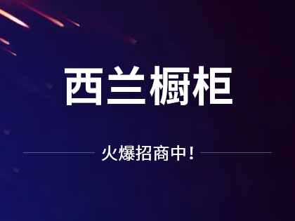 西兰整体橱柜怎么样？西兰整体橱柜加盟条件是什么？！