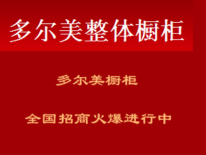 多尔美橱柜定制一般多少钱？多尔美橱柜多少钱一米？！