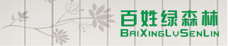 常见的硅藻泥几大误区是什么你知道么？百姓绿森林硅藻泥告诉你！